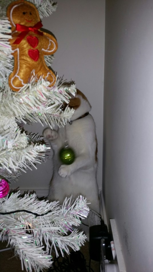 20141206_211422.jpg image