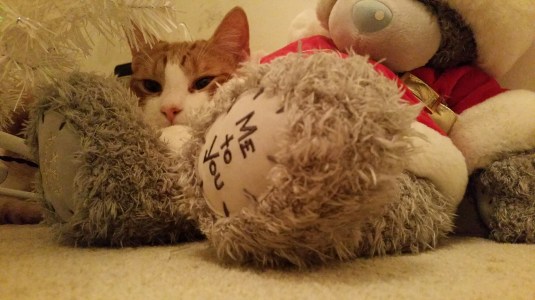 20141219_182731.jpg image