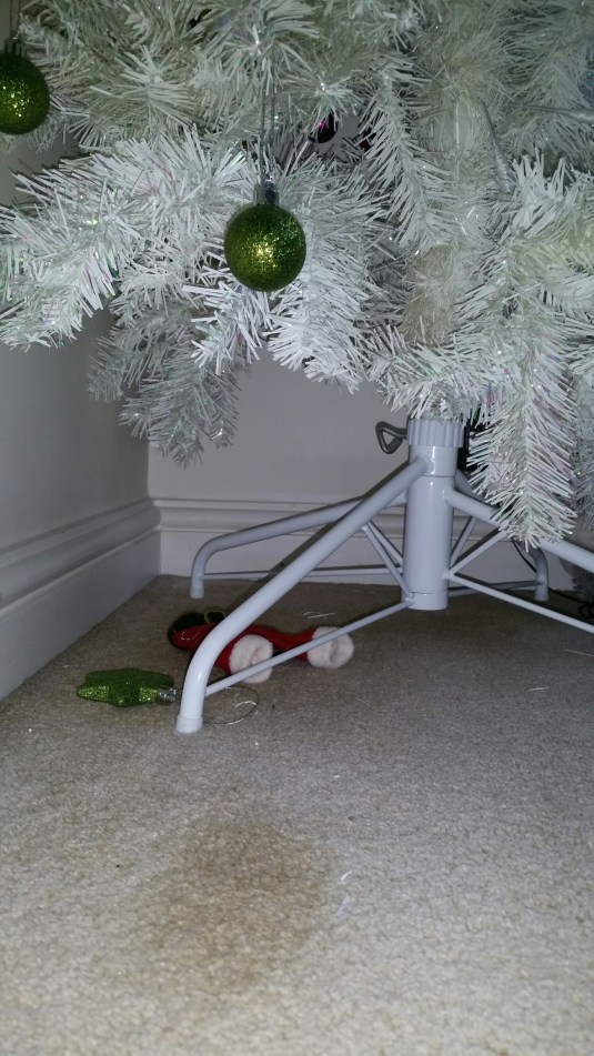 20141222_093942.jpg image