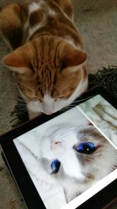 Who are you, beautiful stranger....?