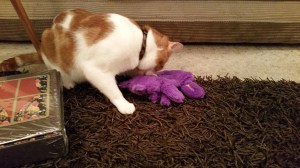 If I love ya, I wrestle ya!