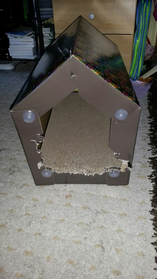 20150130_082227.jpg image