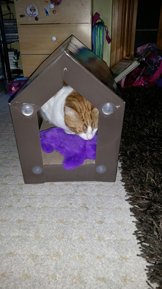 20150130_082324.jpg image