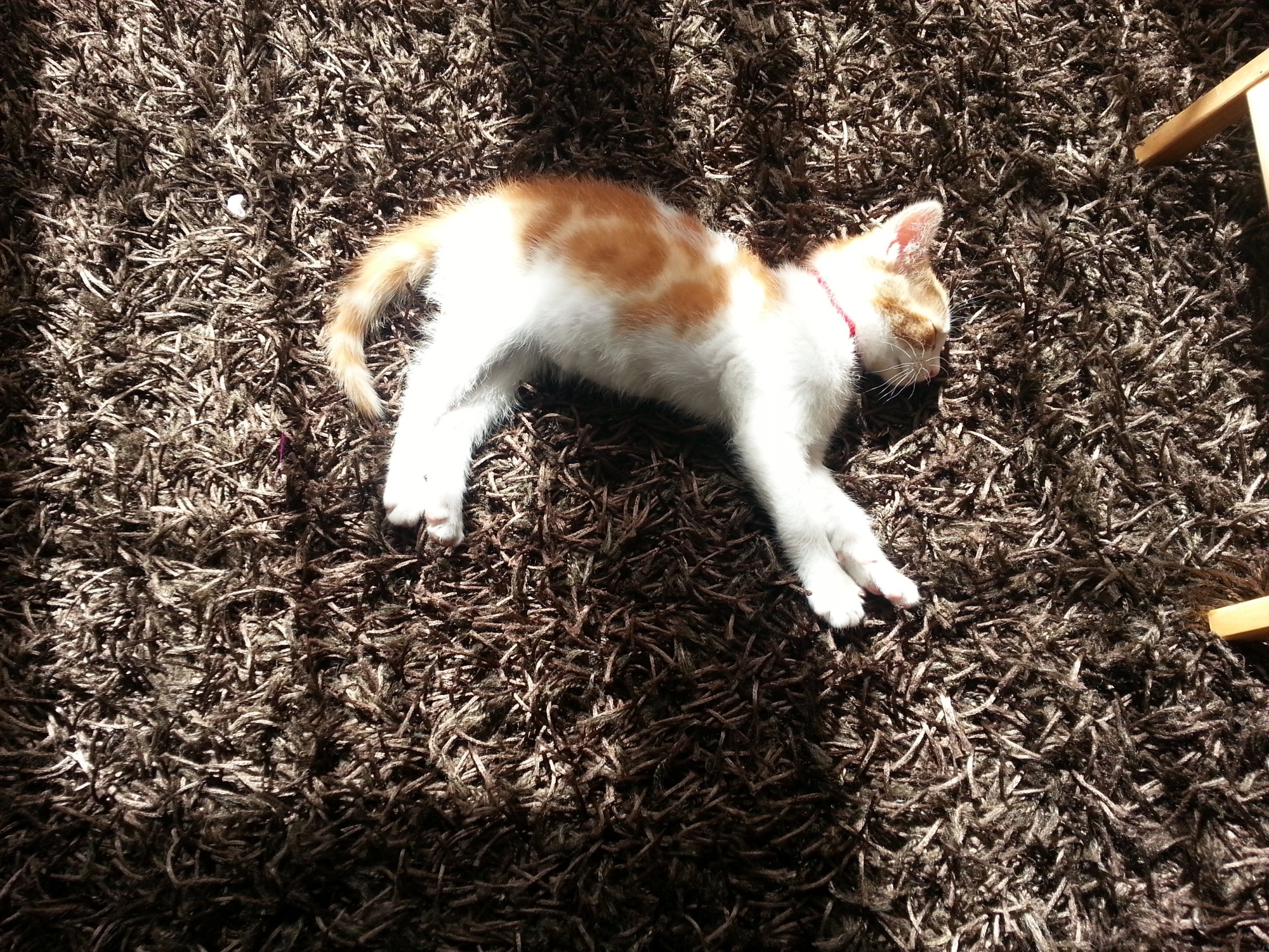 wpid-20140409_124843.jpg image