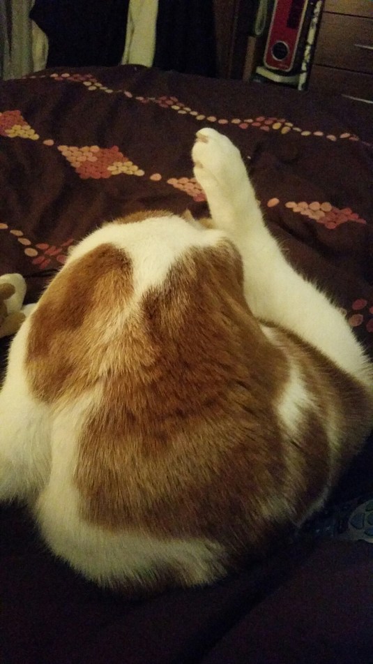 20150206_232614.jpg image