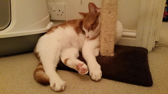 20150212_182553.jpg image