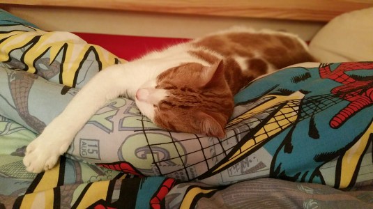 20150214_172614.jpg image