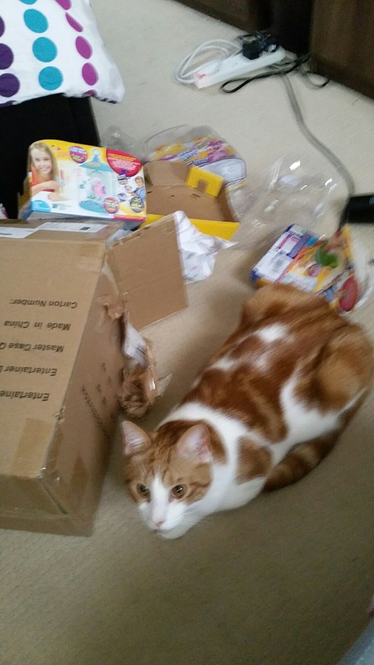 20150221_130549.jpg image