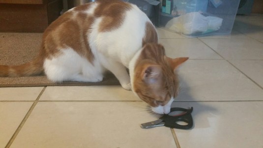 20150226_073624.jpg image