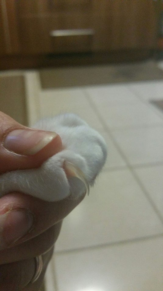 20150226_073752.jpg image