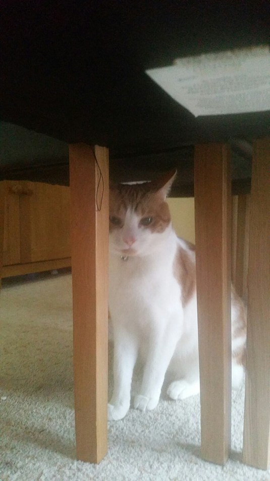 20150226_074428.jpg image