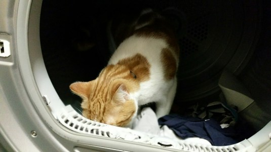 20150226_171437.jpg image