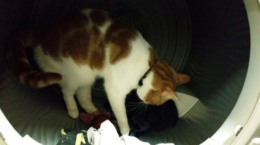 20150226_171451.jpg image