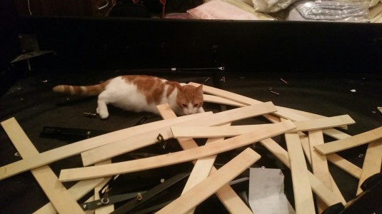 20150226_195659.jpg image