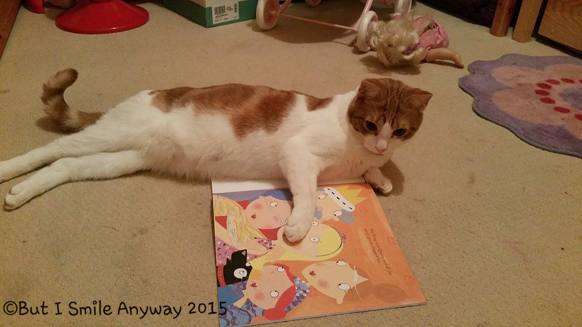 wpid-20150228_215450.jpg image