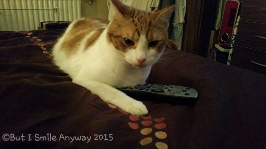 20150306_224823.jpg image