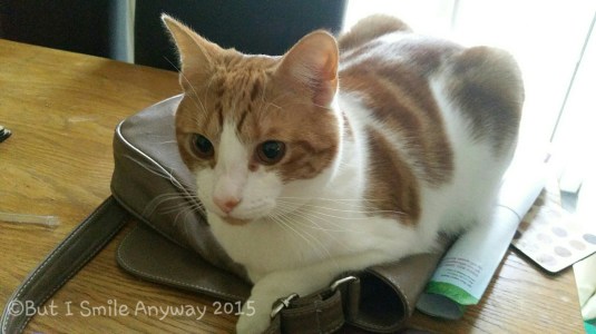 20150326_075030.jpg image