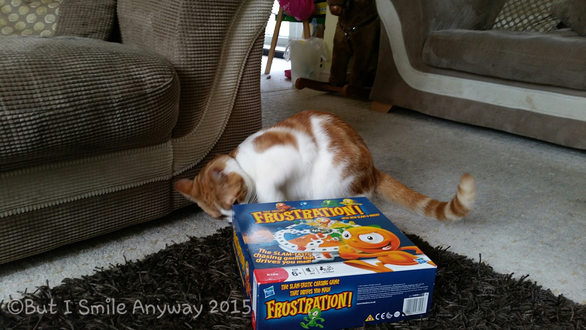 wpid-20150328_113723.jpg image