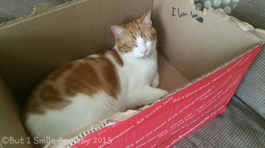 20150415_142213.jpg image