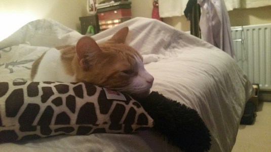 20150628_224436.jpg image