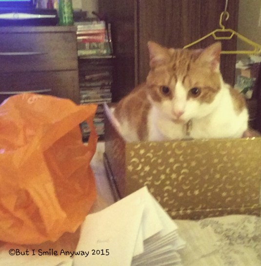 2015-12-15 07.30.54.jpg image