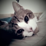 wpid-2015-10-29-21-07-42-jpg