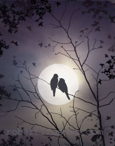 d799ff7625ee73f52c403ccf3104496d