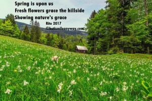 landscape-2089847_1920