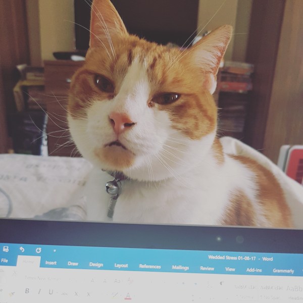 IMG_20170825_092115_258