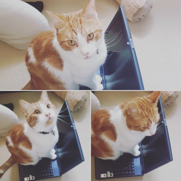 IMG_20170825_094155_810