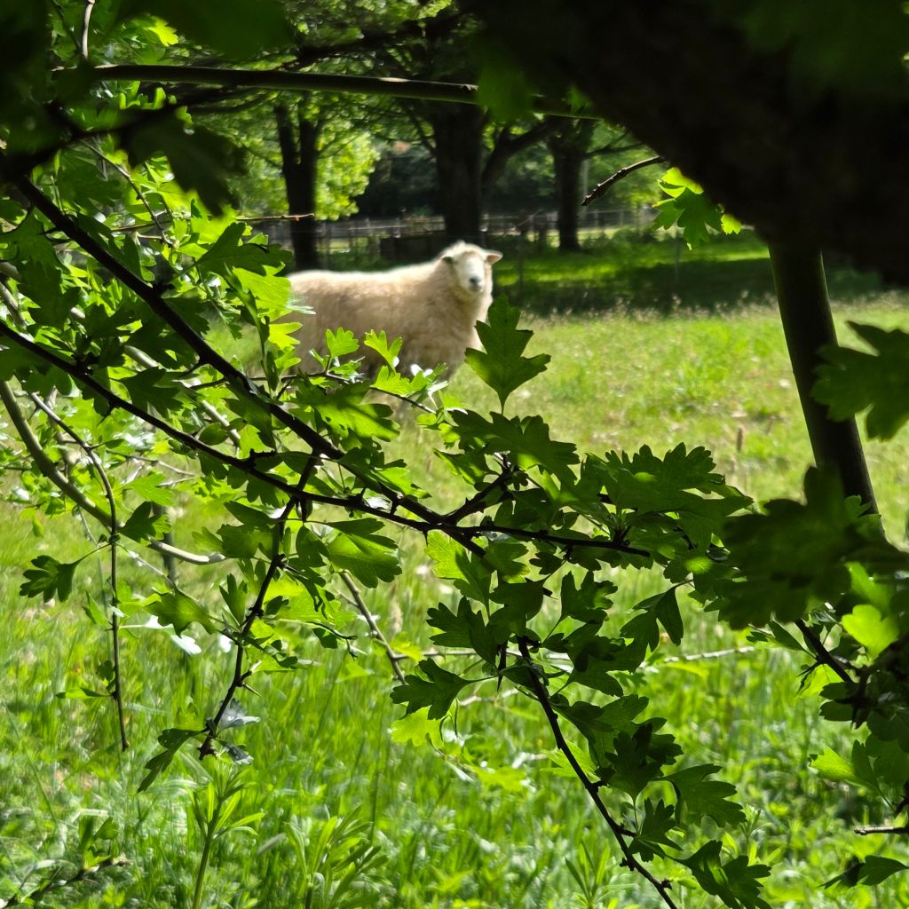 20250504_1050111159266747269615060