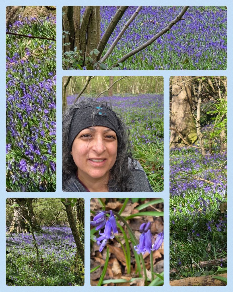 collage_2025-04-19_15_41_281379724663621370790