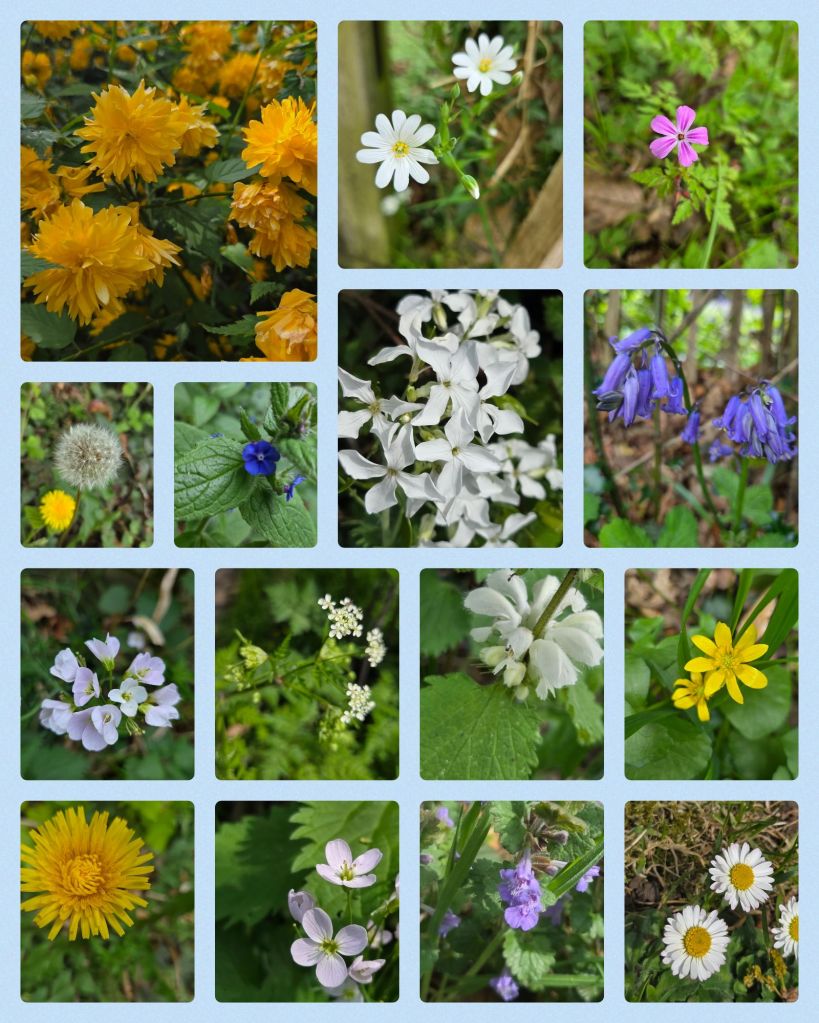 collage_2025-04-26_12_21_166275255209229508717